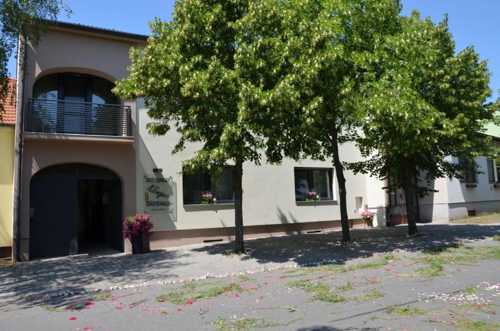 Gaestezimmer Klinger-Tongisch Apetlon Luaran gambar